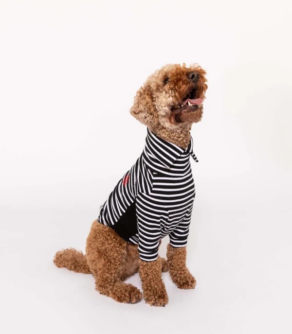 Stripe Tee Rust and Ivory - 图片 2