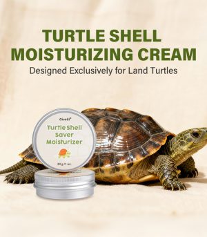 Oivolii Turtle Shell Moisturizing Cream 30g