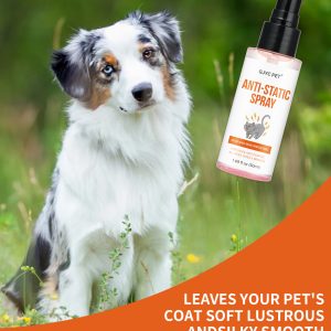 GJYC PET Anti-Static Spray -50ml