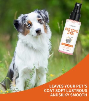 GJYC PET Anti-Static Spray -50ml