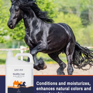 Horse and Camel Shower Gel 5L